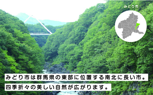 【34】大玉トマト24玉