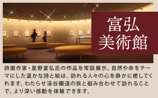 【48】わたらせ渓谷鐵道一日フリーきっぷ＆富弘美術館入館招待券