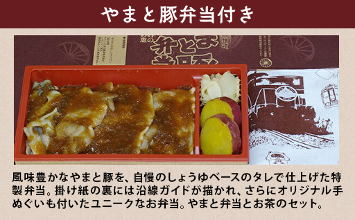 【73】わたらせ渓谷鐵道「トロッコ列車の旅セット」 ※おとな１名用