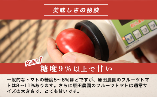 【a010】フルーツトマト糖十郎（Mサイズ）1㎏箱15玉満杯詰め