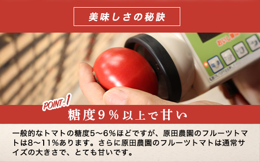 【a011】フルーツトマト糖十郎（Sサイズ）1㎏箱18玉~20玉満杯詰め