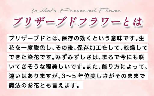 【a106】プリザーブドフラワーアレンジ(額装）中　(黄色・オレンジ系)