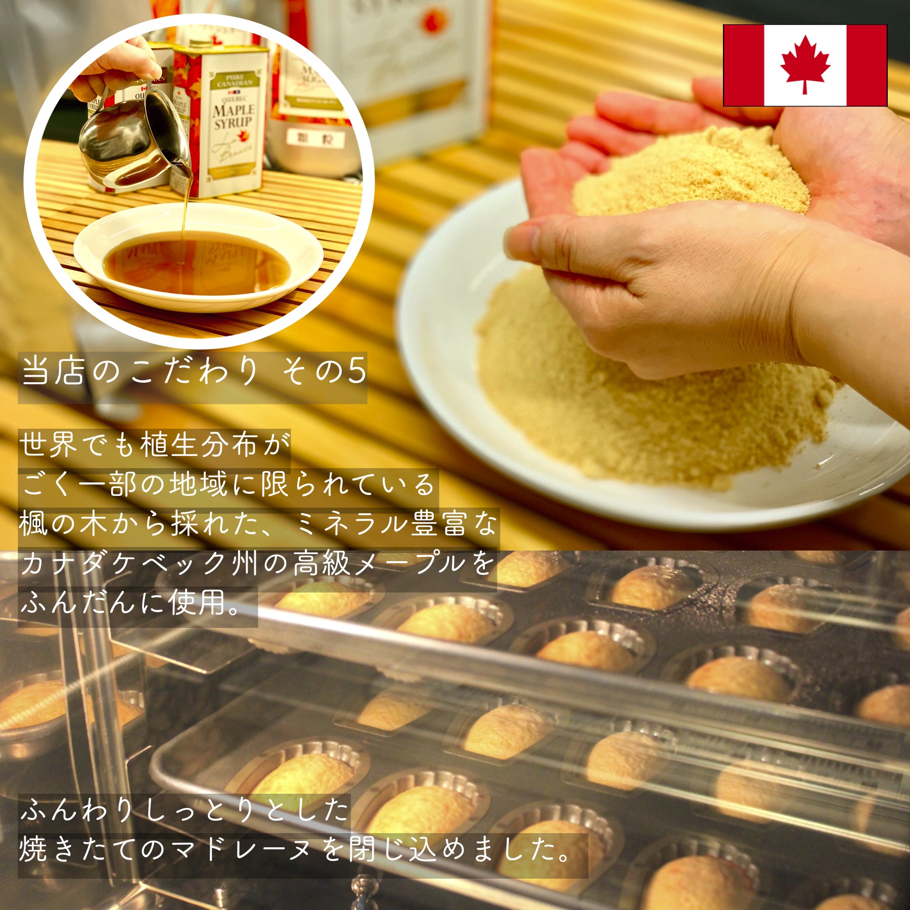 【a228】マドレーヌとフィナンシェのギフト『オペラ』