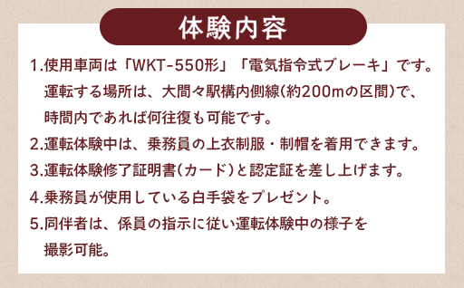 【a222】わたらせ渓谷鐵道　トロッコわっしー号運転体験