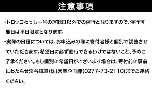 【a223】わたらせ渓谷鐵道　トロッコわっしー号　特別貸切プラン