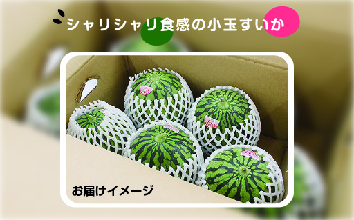 【102】シャリシャリ食感の小玉すいか5玉
