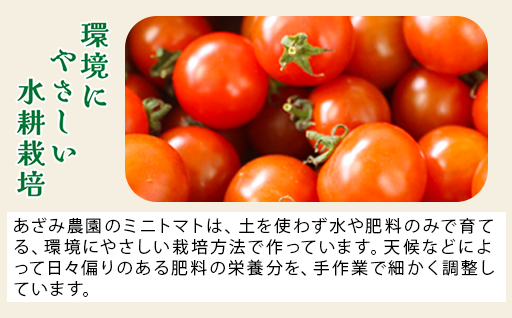 【11】ミニトマト2㎏箱【10月以降順次発送】