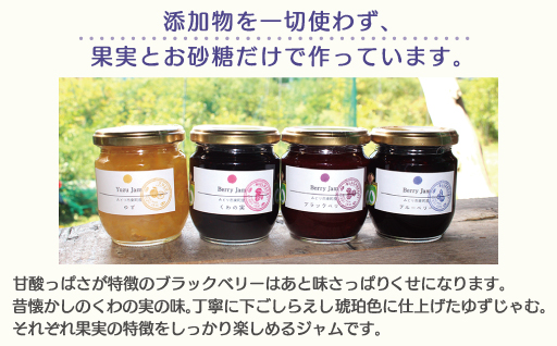 【21】Berry Jam