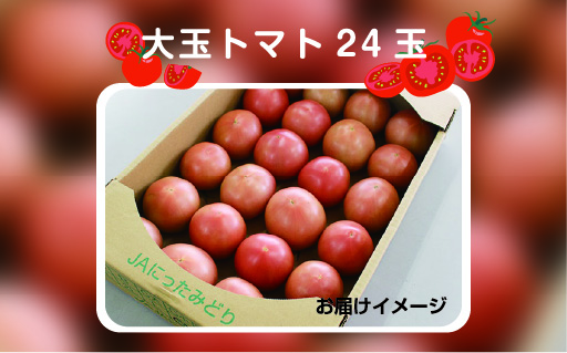 【34】大玉トマト24玉