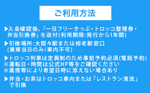 【49】わたらせ渓谷鐵道「トロッコ列車の旅セット」 ※こども１名用