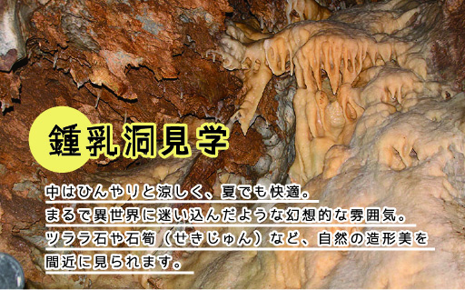【56】小平の里　流しうどん体験＆鍾乳洞見学　2名様