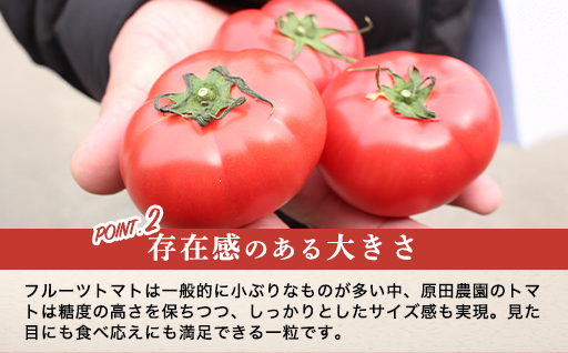 【a010】フルーツトマト糖十郎（Mサイズ）1㎏箱15玉満杯詰め