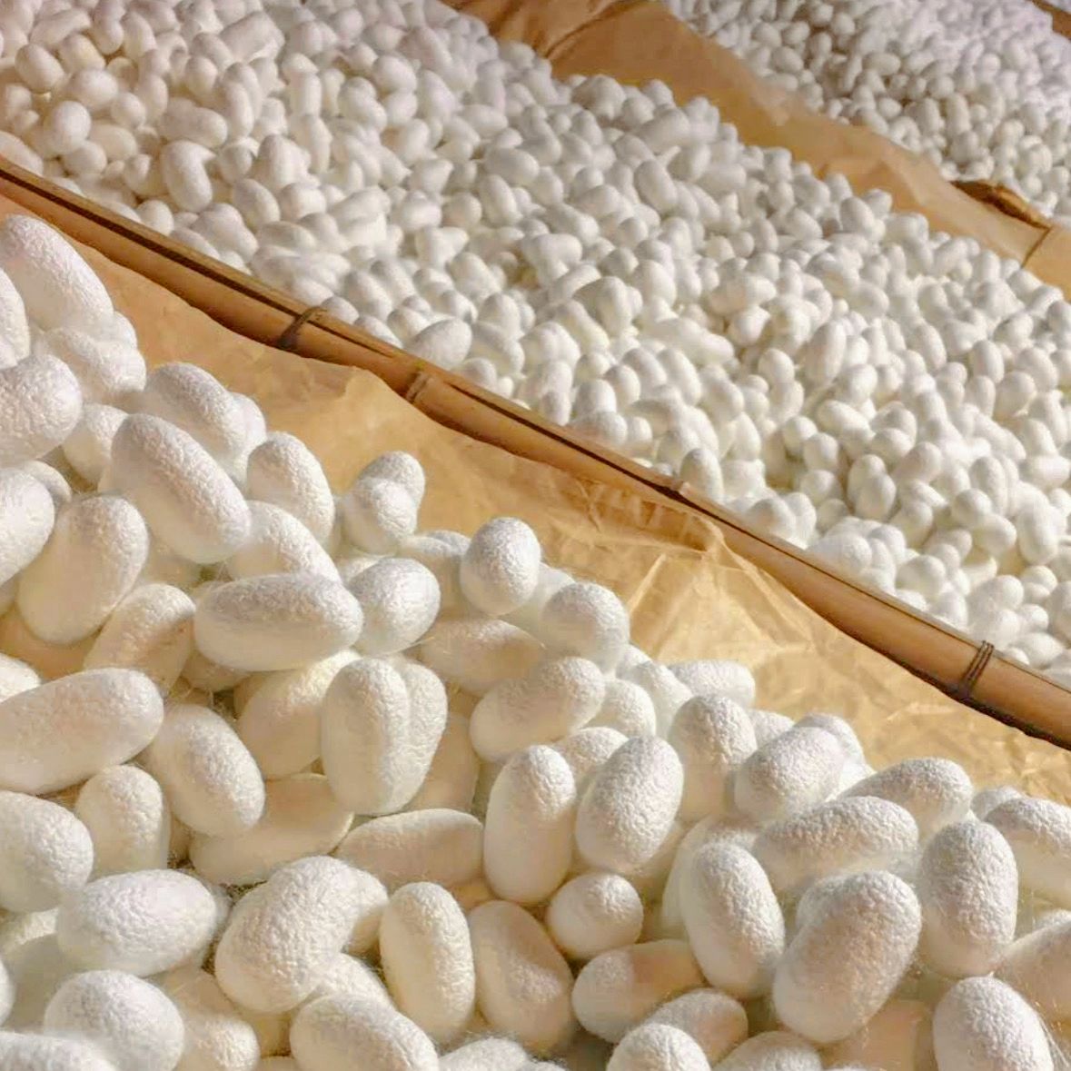 シルクソ－プN（2個）＆シルク泡立てネット（1個）付きセット