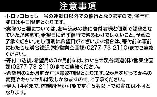 【a221】わたらせ渓谷鐵道　トロッコわっしー号運転体験 プレミアム貸切体験プラン