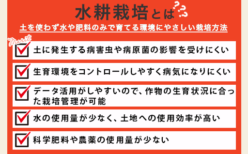 【1】ミニトマト1ｋｇ【10月以降順次発送】