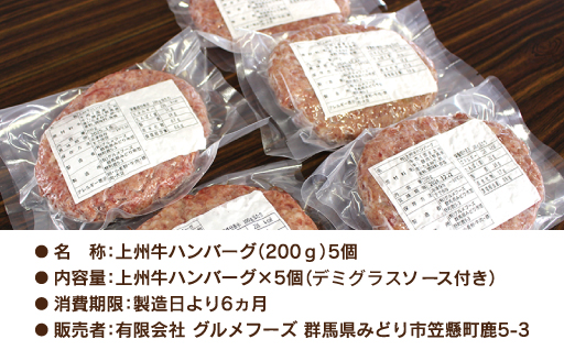 【193】 生冷凍 上州牛ハンバーグ 1kg（200g×5個）