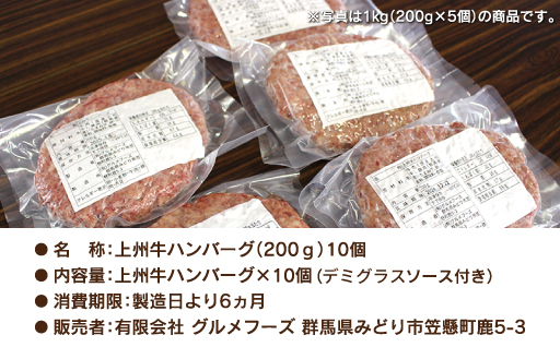 【194】生冷凍 上州牛ハンバーグ 2kg（200g×10個）