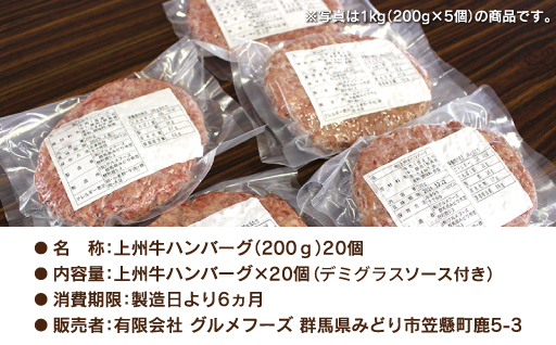 【195】 生冷凍 上州牛ハンバーグ4kg（200g×20個）