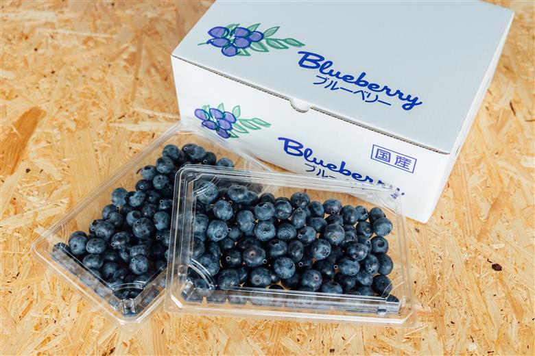【284】ブルーベリー1Kg