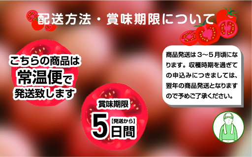 【34】大玉トマト24玉