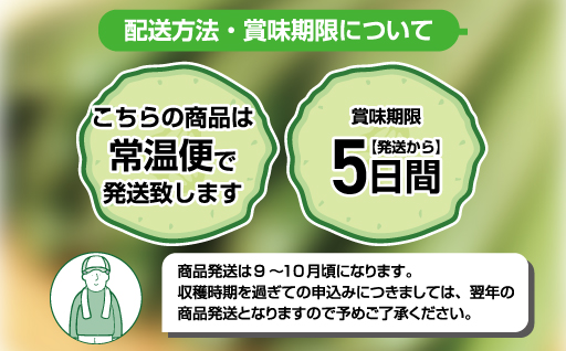 【71】パリッと食感のきゅうり50本