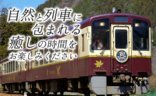 【73】わたらせ渓谷鐵道「トロッコ列車の旅セット」 ※おとな１名用