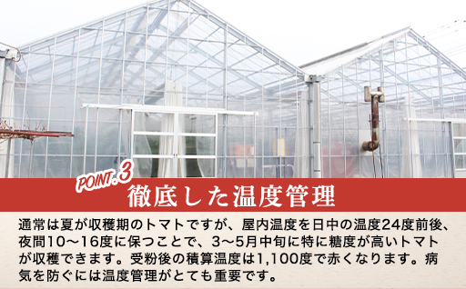 【a011】フルーツトマト糖十郎（Sサイズ）1㎏箱18玉~20玉満杯詰め