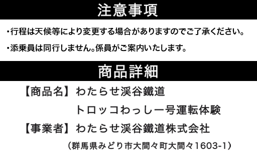 【a222】わたらせ渓谷鐵道　トロッコわっしー号運転体験