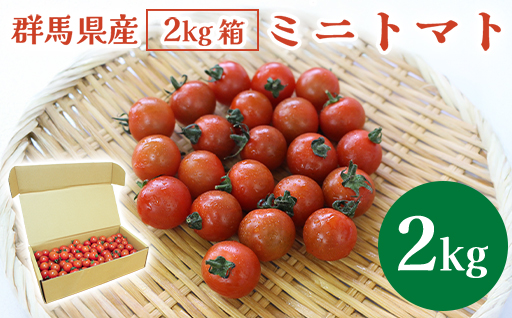 【11】ミニトマト2㎏箱【10月以降順次発送】