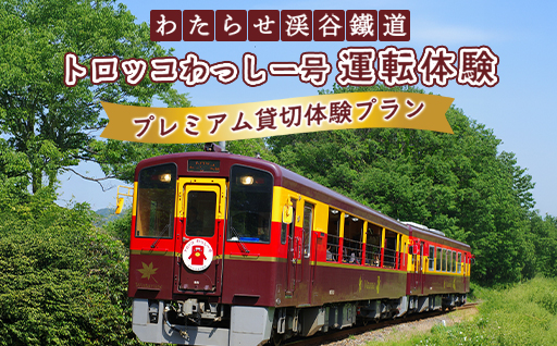 【a221】わたらせ渓谷鐵道　トロッコわっしー号運転体験 プレミアム貸切体験プラン
