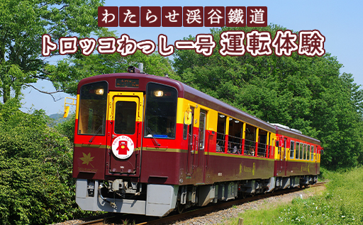 【a222】わたらせ渓谷鐵道　トロッコわっしー号運転体験