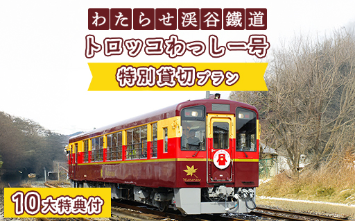 【a223】わたらせ渓谷鐵道　トロッコわっしー号　特別貸切プラン