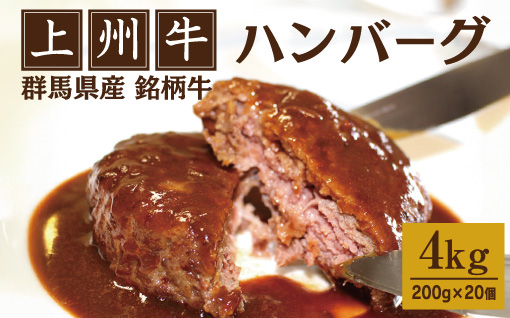 【174】 上州牛ハンバーグ 4kg（200g×20個）