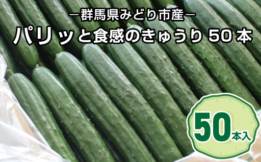 【71】パリッと食感のきゅうり50本