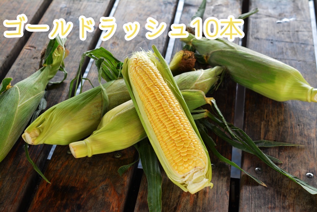 【286】とうもろこし10本