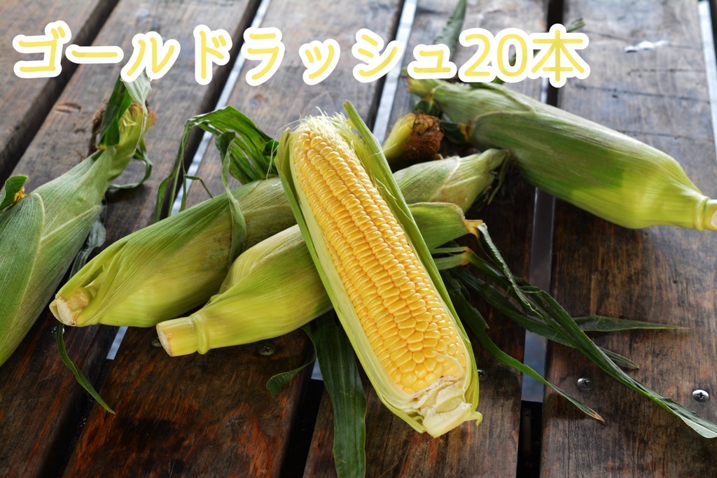 【287】とうもろこし20本