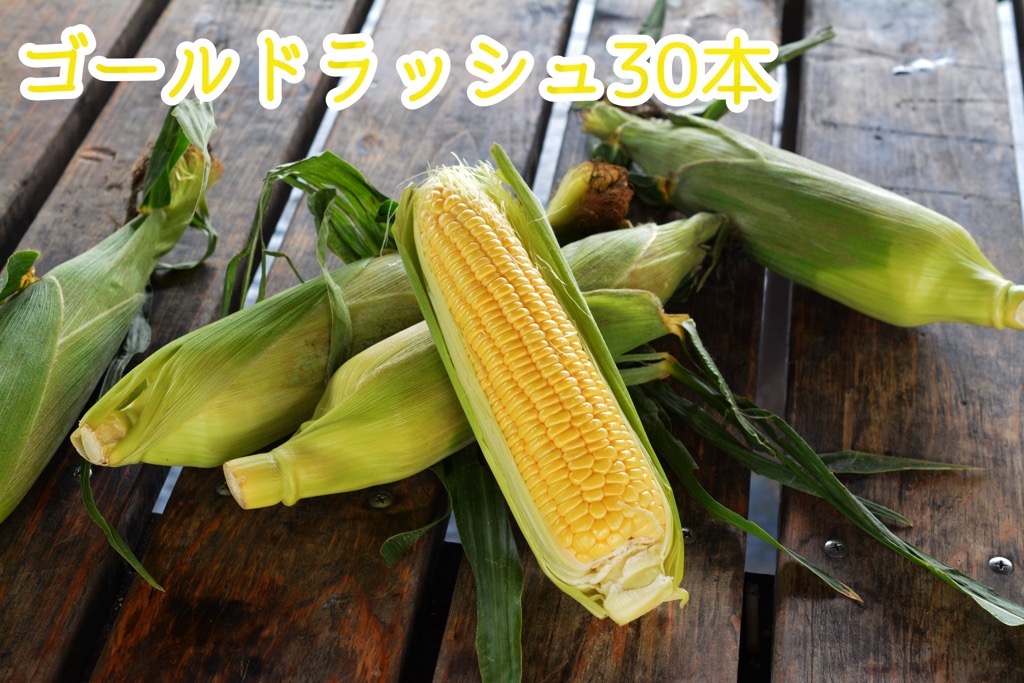 【288】とうもろこし30本