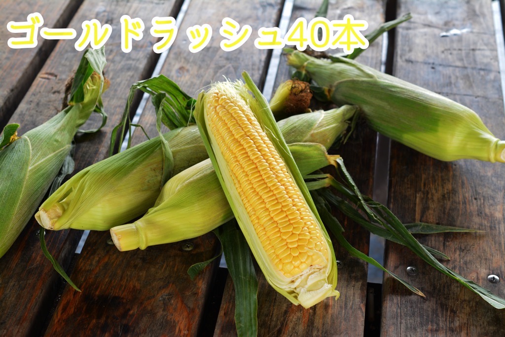 【289】とうもろこし40本
