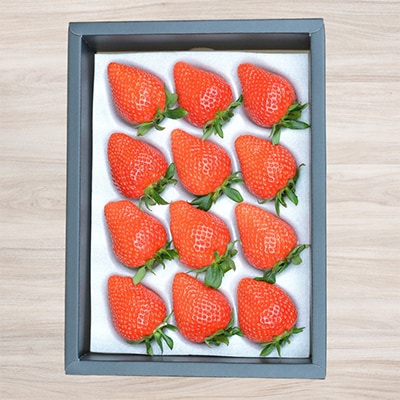 ストロベリーみなみ こだわり 『いちご』2箱【配送不可地域：離島】