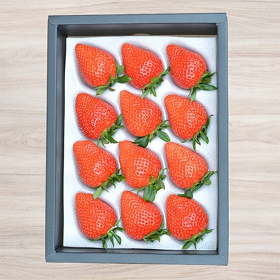 ストロベリーみなみ こだわり 『いちご』7箱【配送不可地域：離島】