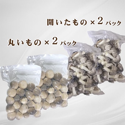 貴重な国産ふくろ茸　袋茸　フクロタケ【冷凍真空パック】丸いもの2パックと開いたもの2パック【配送不可地域：離島】