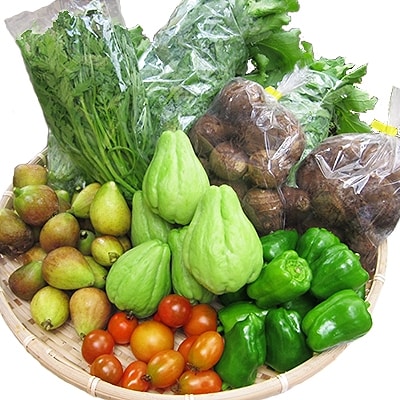 八州高原マルシェ自慢の旬な野菜たち【配送不可地域：離島】