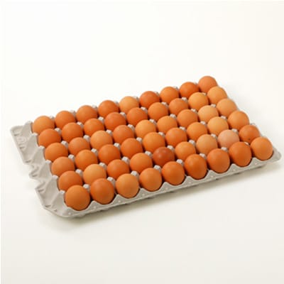 岩田のおいしい卵　小玉49個+破卵保障5個入り【配送不可地域：離島】