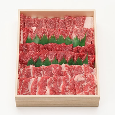 上州牛肩・モモ・バラ焼肉セット(合計1.1kg)【配送不可地域：離島】