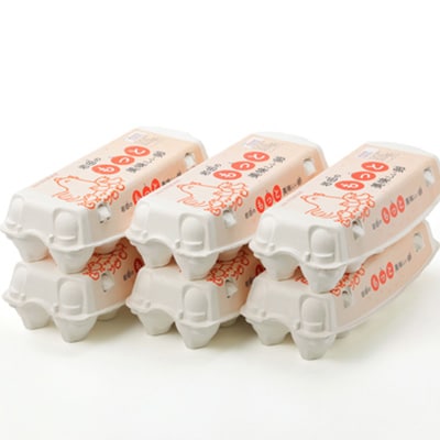 岩田のおいしい卵　実用中玉55個+破卵保障5個 (10個入り×6パック)【配送不可地域：離島】