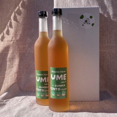 梅シロップ 510ml×2本