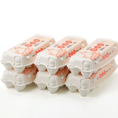 【毎月定期便】岩田のおいしい卵　実用中玉55個+破卵保障5個 (10個入り×6パック)全3回【配送不可地域：離島】