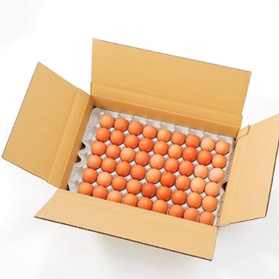 岩田のおいしい卵　小玉49個+破卵保障5個入り【配送不可地域：離島】