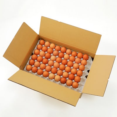 岩田のおいしい卵　小玉98個+破卵保障10個入り【配送不可地域：離島】