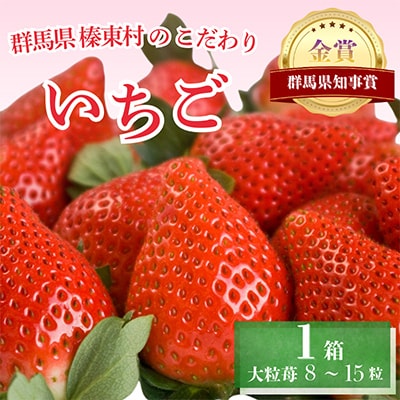 ストロベリーみなみ こだわり　『いちご』1箱【配送不可地域：離島】
